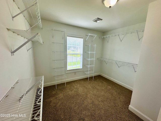 802 Bayhill Ct, Greenville, NC 27858 - walk in closet featuring carpet