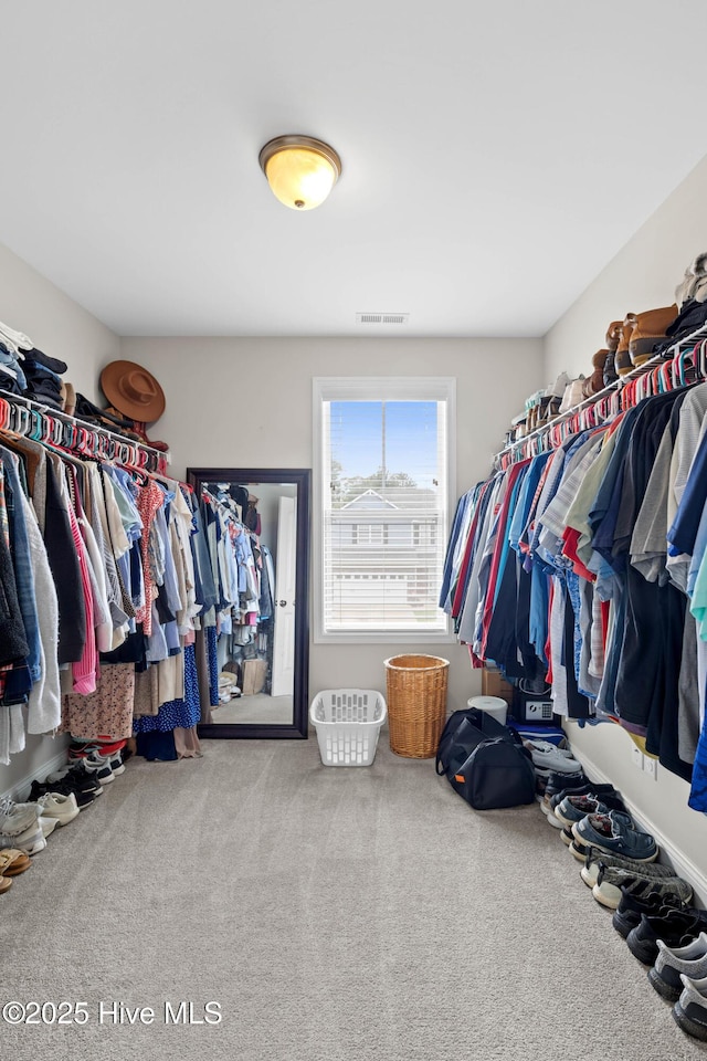 3243 Kellerton Pl, Wilmington, NC 28409 - spacious closet featuring carpet flooring