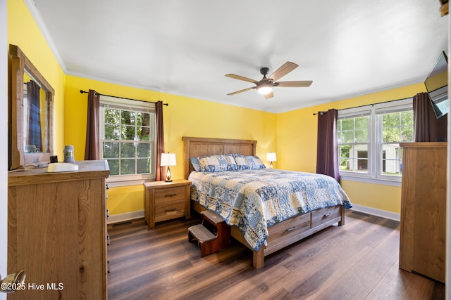304 N Main St, Colerain, NC 27924 - bedroom with multiple windows, dark wood-style floors, crown molding, and ceiling fan