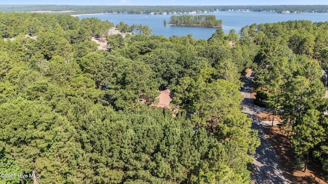 115 Baker Cir W, End, NC 27376 - drone / aerial view of a large body of water