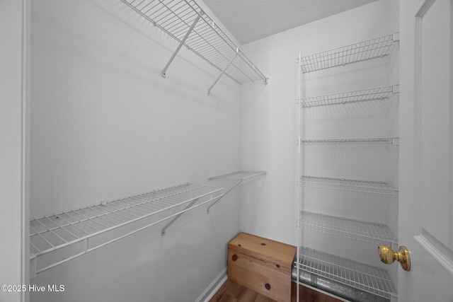 108 Bayswater Ct, New Bern, NC 28562 - walk in closet featuring wood finished floors