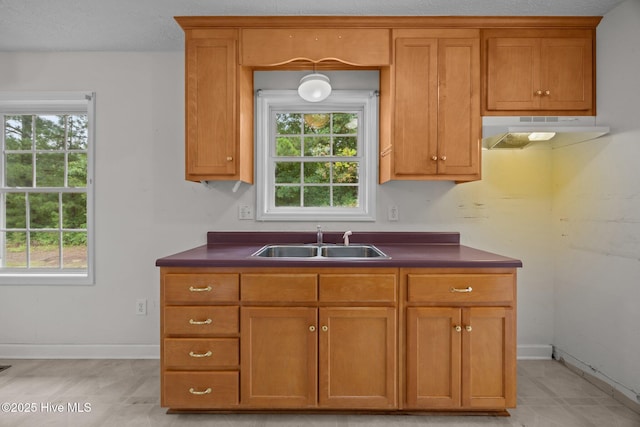 1218 Early Station Rd, Aulander, NC 27805 - kitchen featuring under cabinet range hood, dark countertops, and healthy amount of natural light