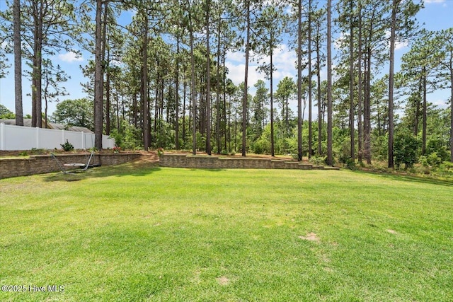 621 Longleaf Rd, Aberdeen, NC 28315 - view of yard