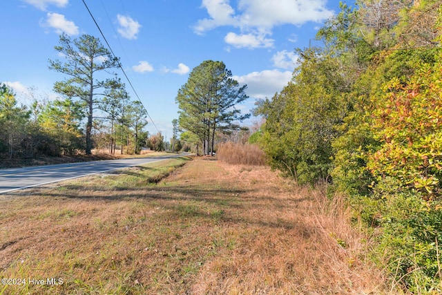 9626 NC Highway 50, Maple Hill, NC 28454 - view of yard