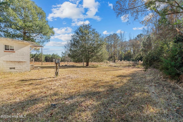 9626 NC Highway 50, Maple Hill, NC 28454 - view of grassy yard