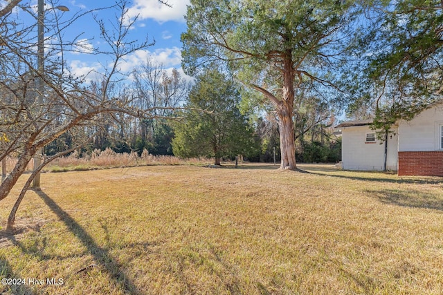9626 NC Highway 50, Maple Hill, NC 28454 - view of green lawn