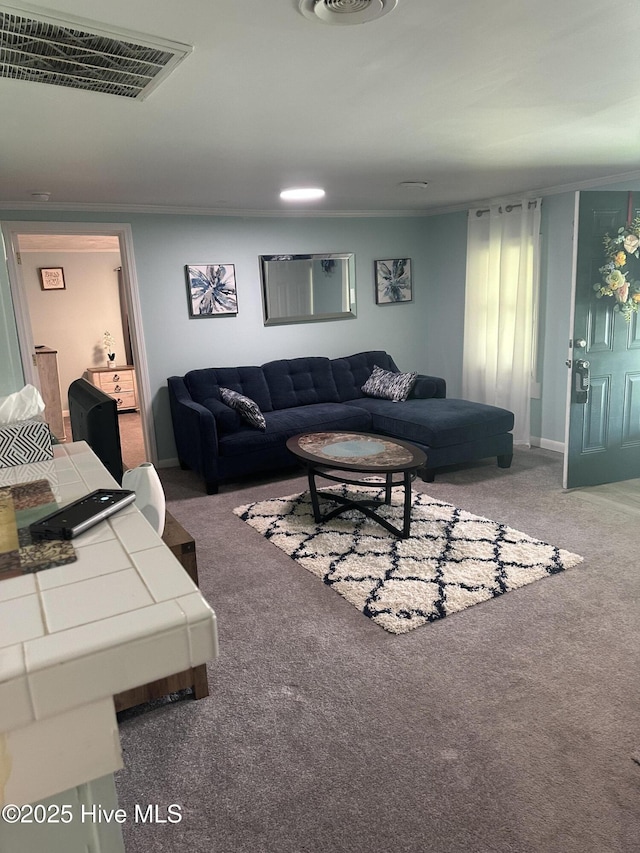410 Brown Dr, New Bern, NC 28560 - carpeted living room featuring baseboards