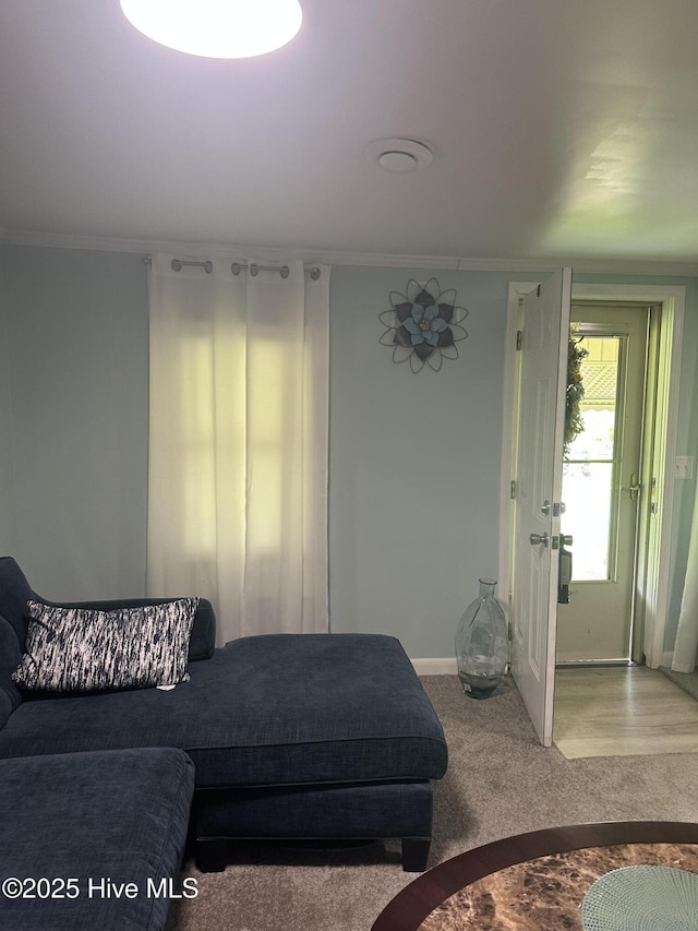 410 Brown Dr, New Bern, NC 28560 - living area featuring ornamental molding and carpet