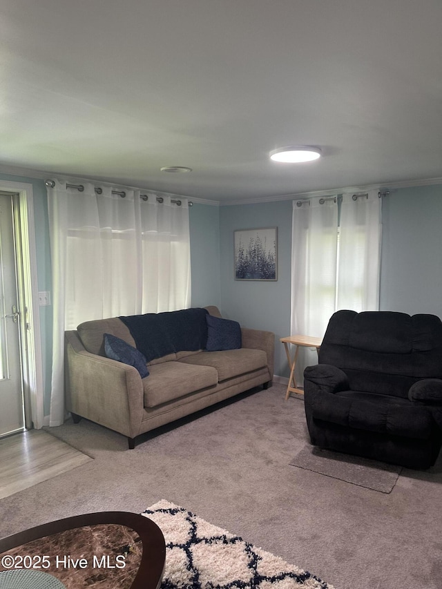 410 Brown Dr, New Bern, NC 28560 - living room featuring carpet floors