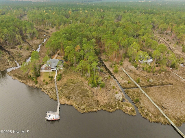 11 Starboard Ct, Aurora, NC 27806 - view of property location featuring a forest and a large body of water