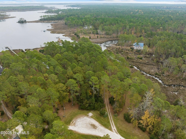 11 Starboard Ct, Aurora, NC 27806 - view of property location featuring a heavily wooded area and a nearby body of water