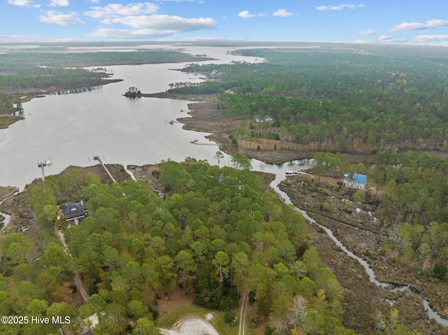 11 Starboard Ct, Aurora, NC 27806 - aerial overview of property's location featuring a nearby body of water and a forest