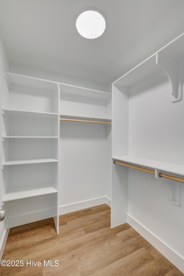 1536 Dorsey Ln, Navassa, NC 28451 - walk in closet with light wood-style flooring