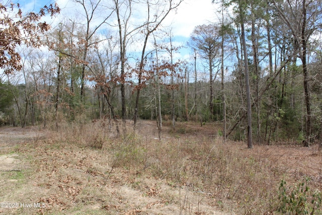 127 Wainwright Ct Unit 74, Havelock, NC 28532