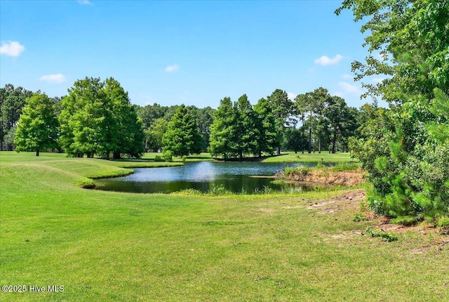 280 Woodlands Way Unit 5, Calabash, NC 28467 - water view