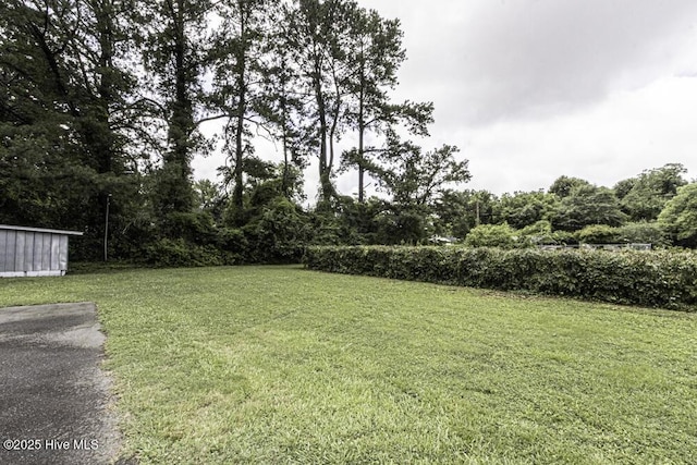 309 Mcgwigan St, Enfield, NC 27823 - view of grassy yard