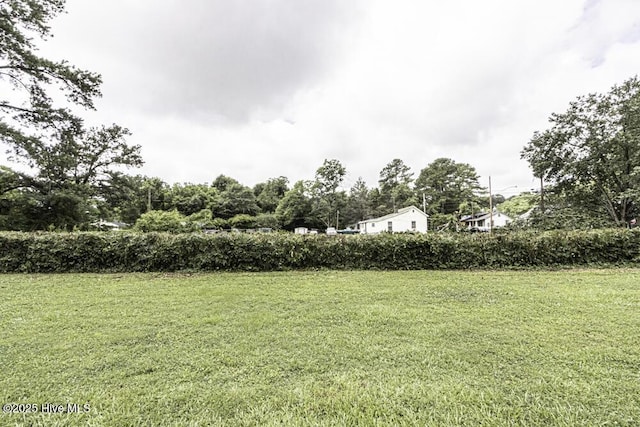 309 Mcgwigan St, Enfield, NC 27823 - view of grassy yard