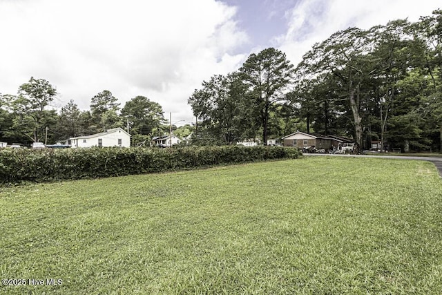 309 Mcgwigan St, Enfield, NC 27823 - view of green lawn