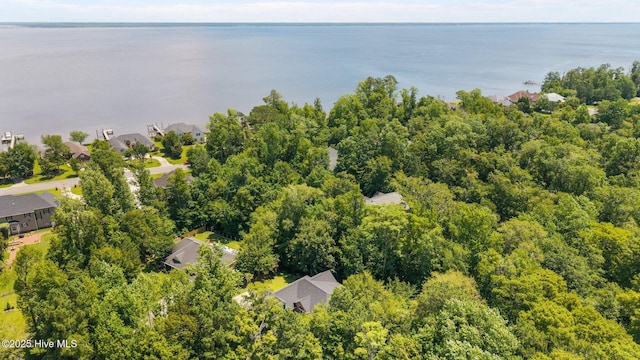 118 Tremayne Dr, New Bern, NC 28560 - aerial view of residential area with a large body of water