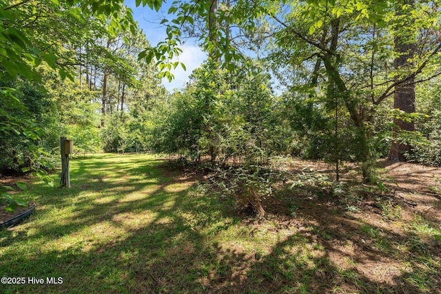 15 Magnolia Ave, Pinehurst, NC 28374 - view of grassy yard featuring a view of trees