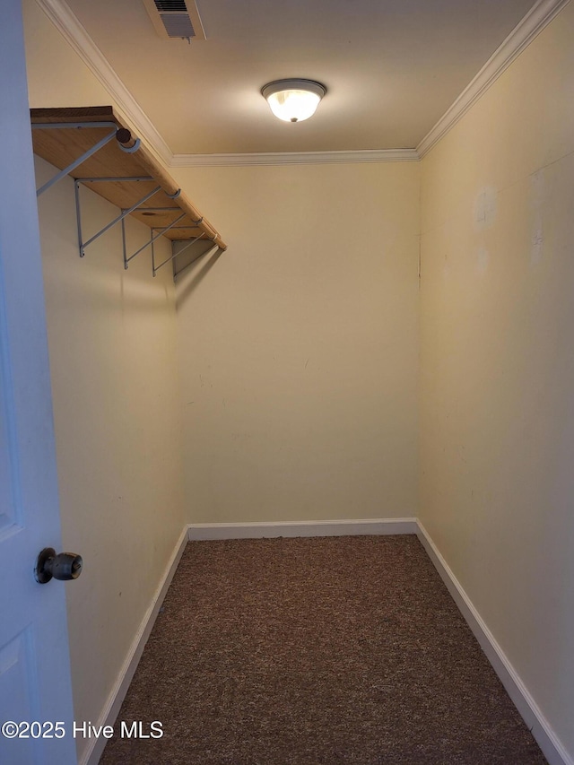 550 E Pungo St, Belhaven, NC 27810 - spacious closet featuring carpet floors