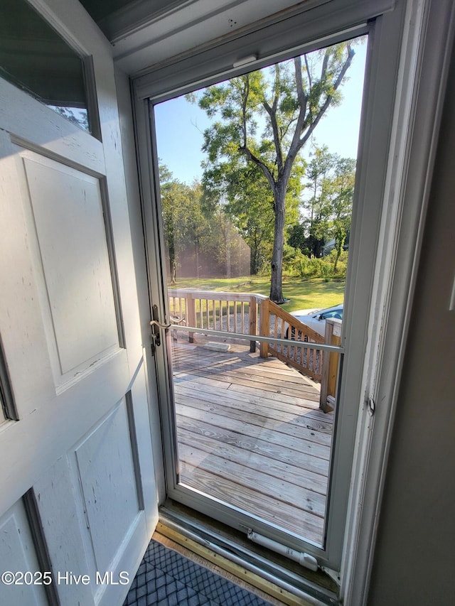 550 E Pungo St, Belhaven, NC 27810 - doorway featuring plenty of natural light and wood finished floors