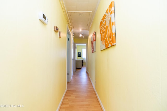 124 Holiday Knl, Hertford, NC 27944 - hall featuring attic access and light wood-style flooring