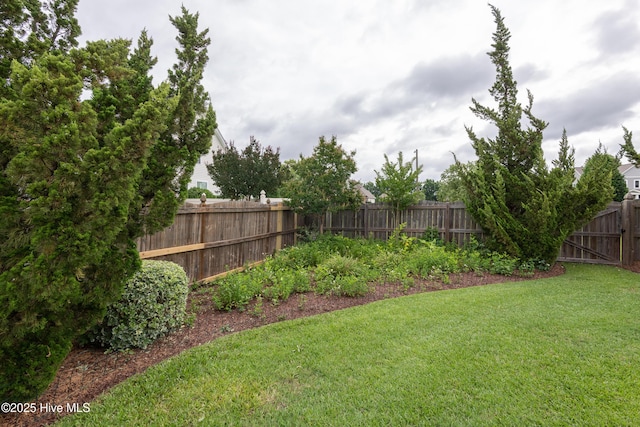 404 River Birch Dr, Greenville, NC 27858 - view of fenced backyard