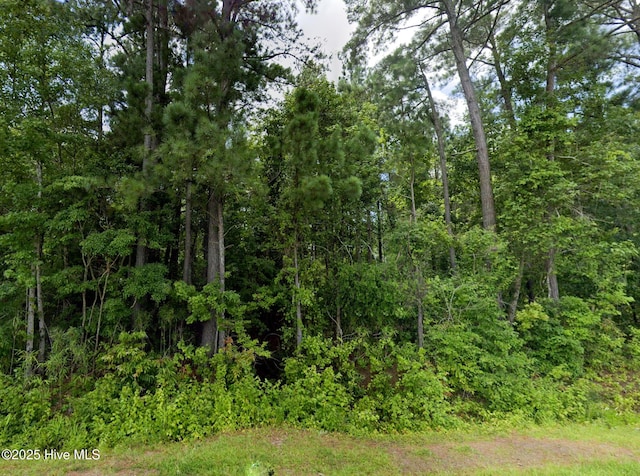 248 Rock Pile, Ahoskie, NC 27910