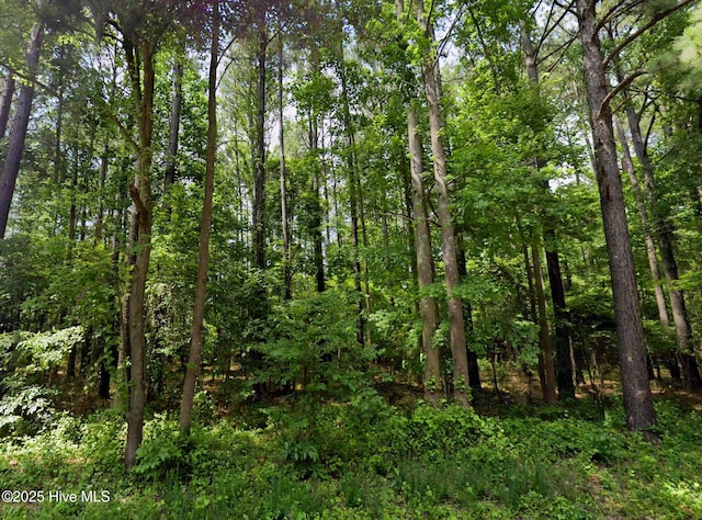 248 Rock Pile, Ahoskie, NC 27910