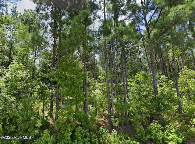 248 Rock Pile, Ahoskie, NC 27910
