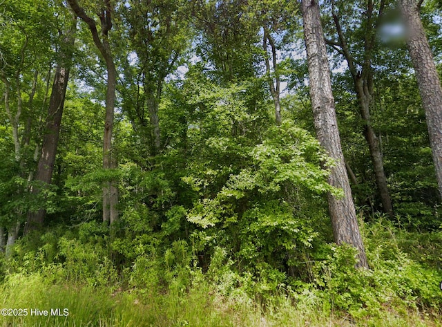 248 Rock Pile, Ahoskie, NC 27910