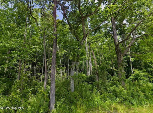 248 Rock Pile, Ahoskie, NC 27910
