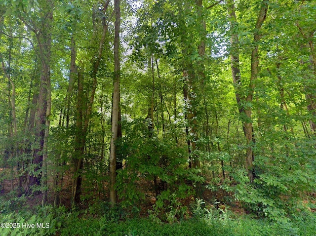 248 Rock Pile, Ahoskie, NC 27910