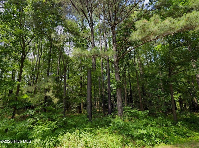 248 Rock Pile, Ahoskie, NC 27910