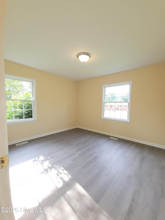 302 Bunche Dr, Goldsboro, NC 27530 - empty room featuring plenty of natural light and wood finished floors