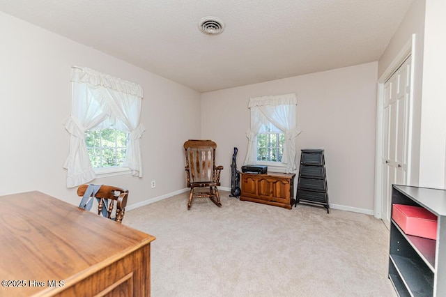 100 E Hedgelawn Way, Southern Pines, NC 28387 - office area with healthy amount of natural light and light carpet