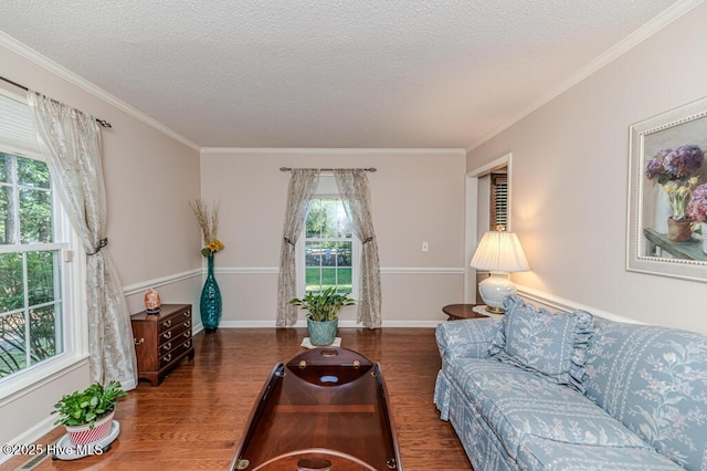 100 E Hedgelawn Way, Southern Pines, NC 28387 - living room with wood finished floors, a textured ceiling, and crown molding