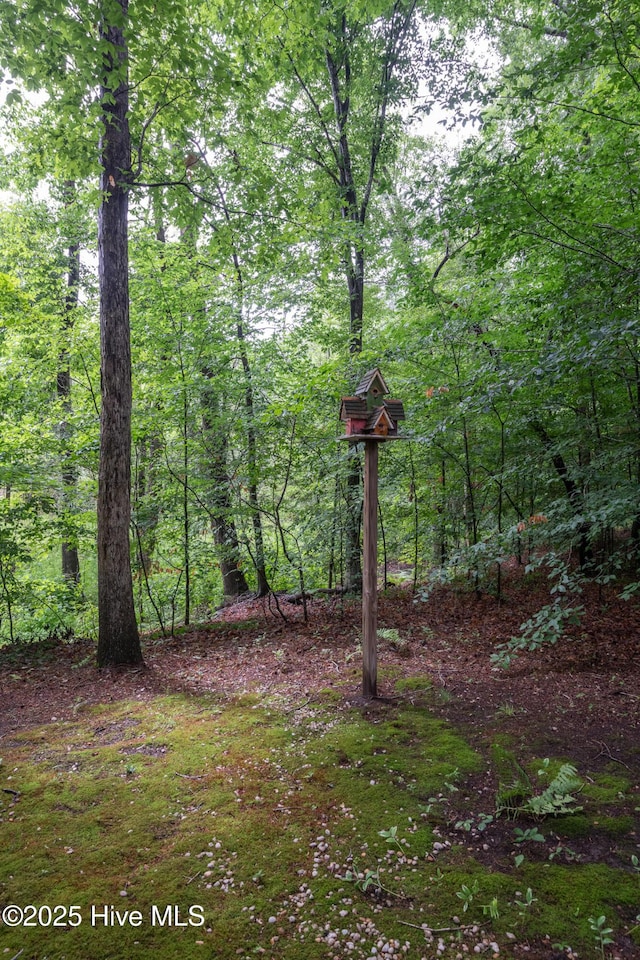 347 Stone Gate Dr, Greenville, NC 27858 - view of yard featuring a view of trees