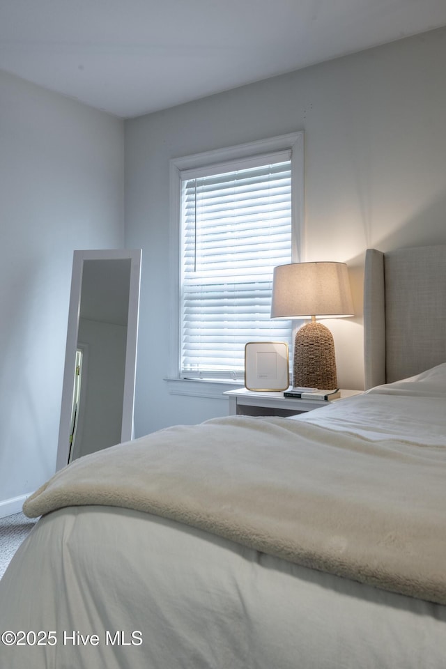 347 Stone Gate Dr, Greenville, NC 27858 - bedroom with baseboards