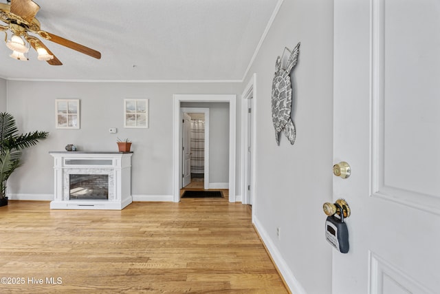 302 Roanoke Trl, Edenton, NC 27932 - living area with ornamental molding, a ceiling fan, light wood-style flooring, and a premium fireplace