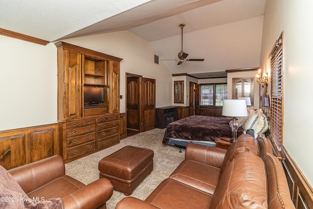 108 Perry Dr, Goldsboro, NC 27530 - bedroom with lofted ceiling, carpet floors, wainscoting, and a textured ceiling
