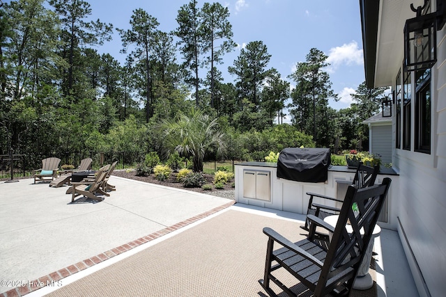 4139 Cobleskill Dr, Leland, NC 28451 - view of patio featuring an outdoor kitchen and view of wooded area