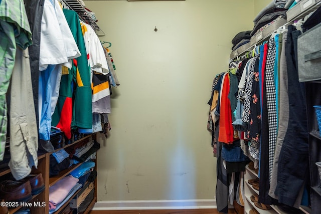 1005 Pleasant Dale Dr, Wilmington, NC 28412 - walk in closet featuring wood finished floors
