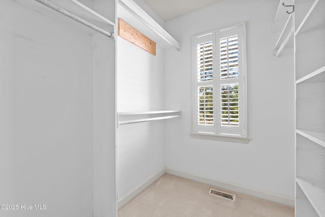 7405 Chickadee Ct, Sanford, NC 27332 - spacious closet featuring carpet