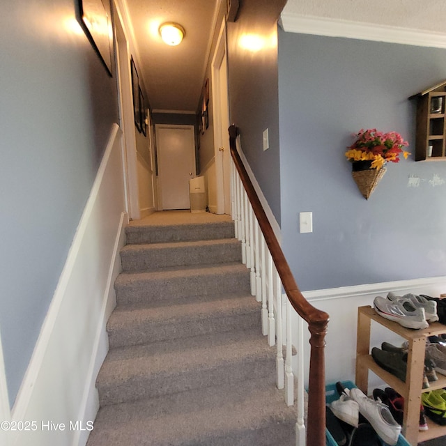 204 Tyree Rd, Kinston, NC 28504 - stairs featuring crown molding and carpet floors