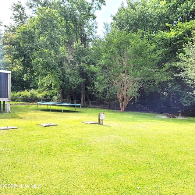 204 Tyree Rd, Kinston, NC 28504 - view of yard with a trampoline