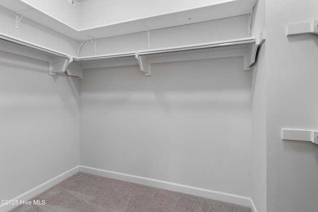 2955 Moorings Way SE, Southport, NC 28461 - walk in closet featuring carpet floors