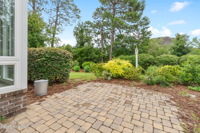 2955 Moorings Way SE, Southport, NC 28461 - view of patio / terrace