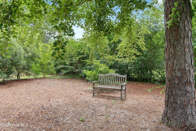 2955 Moorings Way SE, Southport, NC 28461 - view of yard